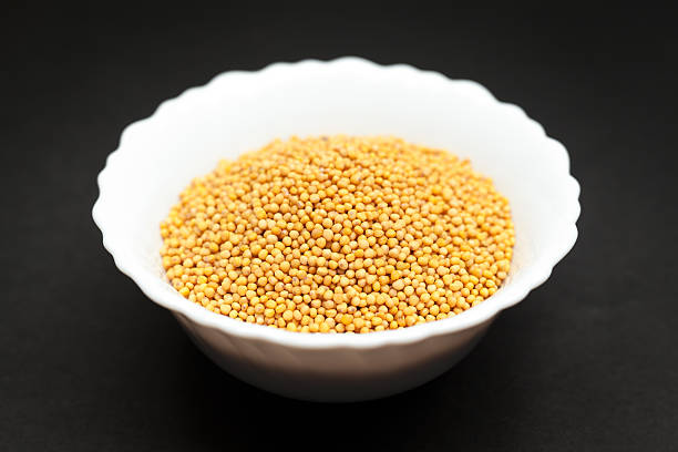  Common   Yellow Mustard Seed